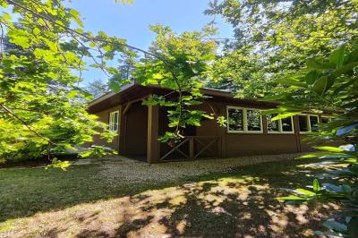 Chemin en pierre menant à une petite maison en bois entourée de végétation dense et ombragée.