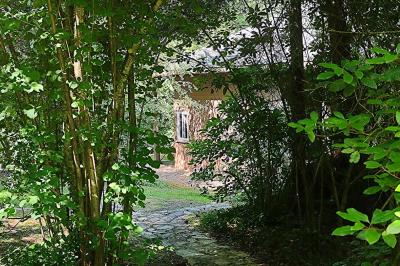 Chemin en pierre menant à une petite maison en bois entourée de végétation dense et ombragée.