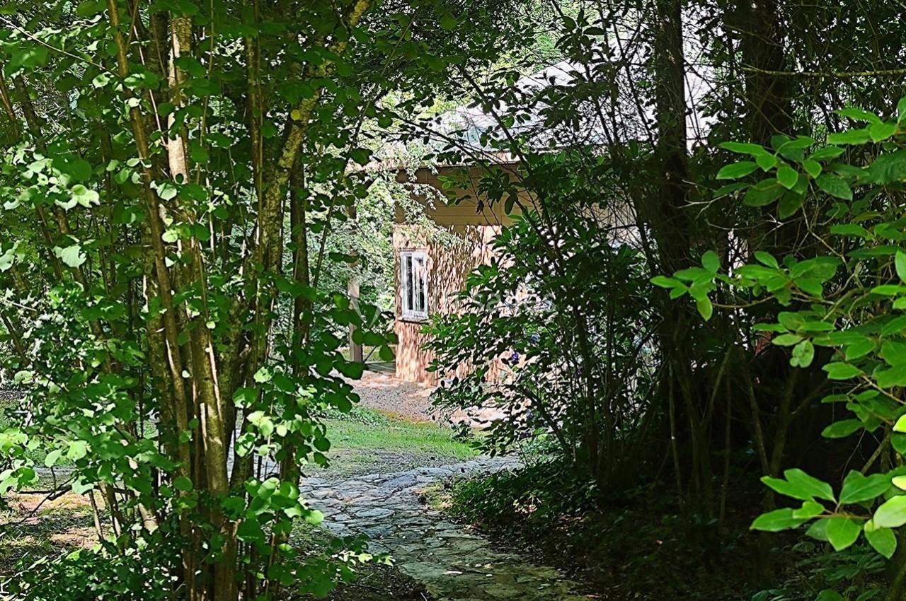 Chemin en pierre menant à une petite maison en bois entourée de végétation dense et ombragée.