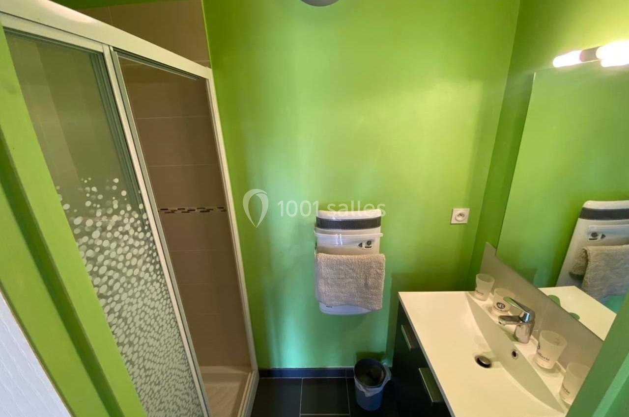 Salle de bain avec murs verts, douche vitrée, lavabo blanc avec miroir et porte-serviettes mural.