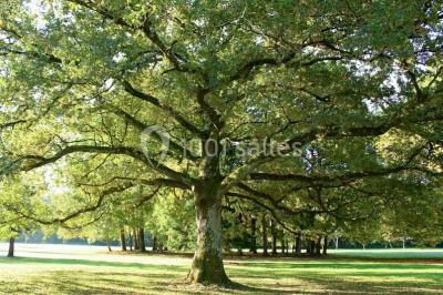 Dortoir avec lits superposés en métal noir, murs rouges et blancs, sol en carrelage foncé, éclairage au plafond.