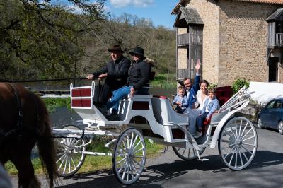 Vélo ancien garé devant une structure en bois et métal avec des toiles blanches tendues, entourée de verdure.