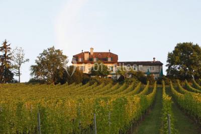 Domaine De Chateauvieux Domaine De Chateauvieux