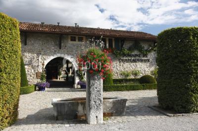 Location salle Satigny (Genêve) - Domaine De Chateauvieux #5