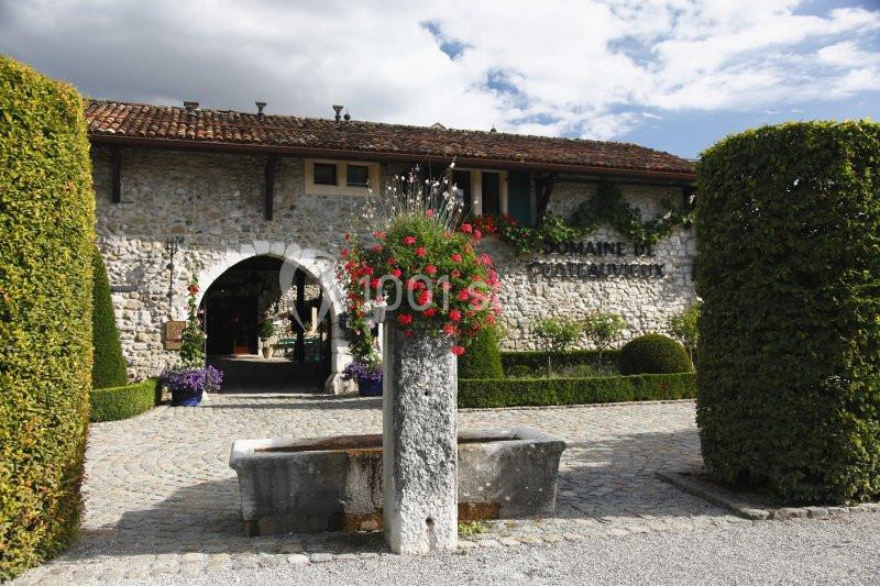 Location salle Satigny (Genêve) - Domaine De Chateauvieux #2