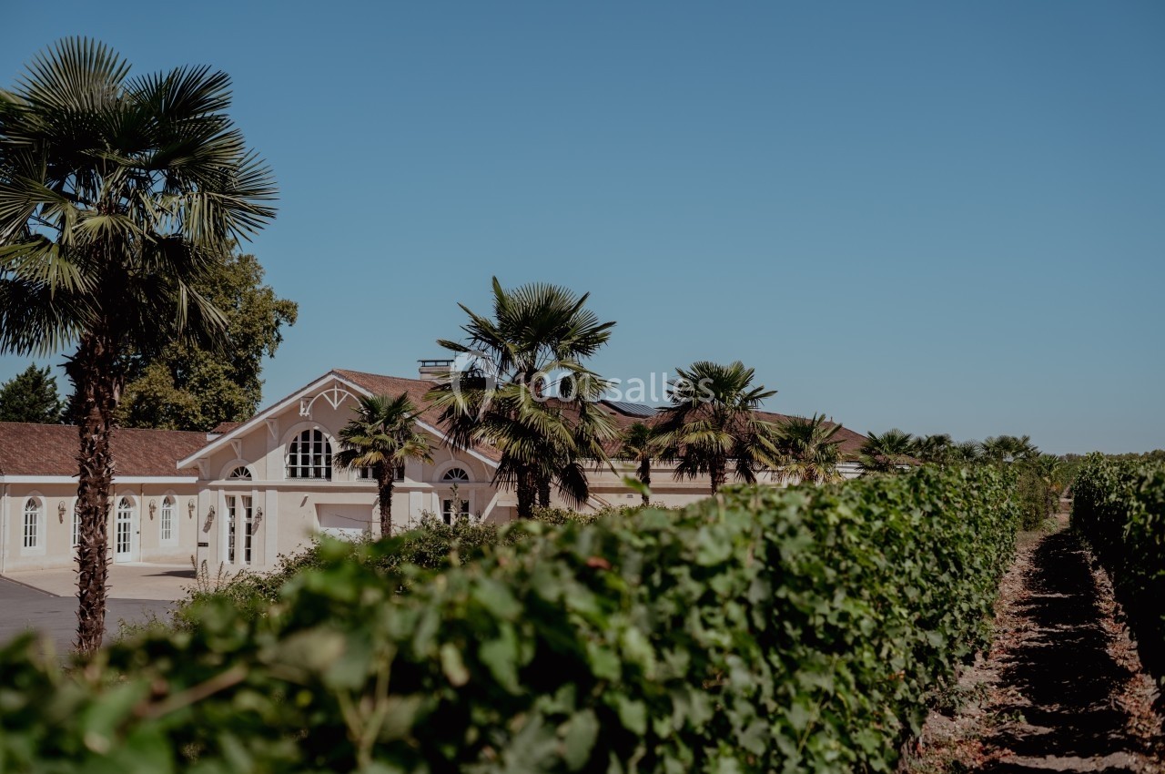Bâtiment clair entouré de palmiers, situé près de rangées de vignes sous un ciel dégagé.
