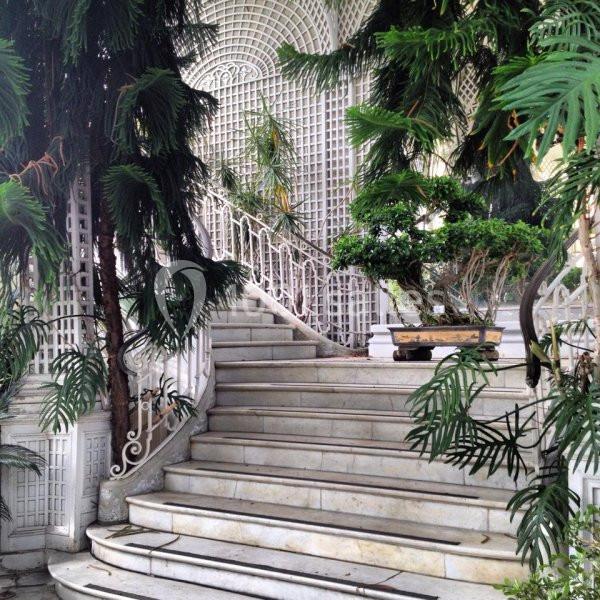 Location salle Boulogne-Billancourt (Hauts-de-Seine) - Musée Albert Kahn #9