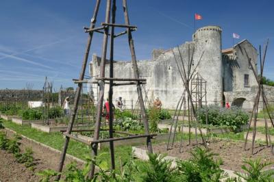 Location salle Beaugeay (Charente-Maritime) - Château Saint Jean D'angle #10