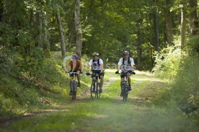 Location salle Bellenaves (Allier) - Le Vert Plateau #11