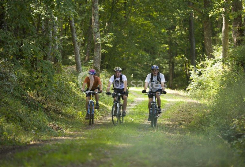 Location salle Bellenaves (Allier) - Le Vert Plateau #11