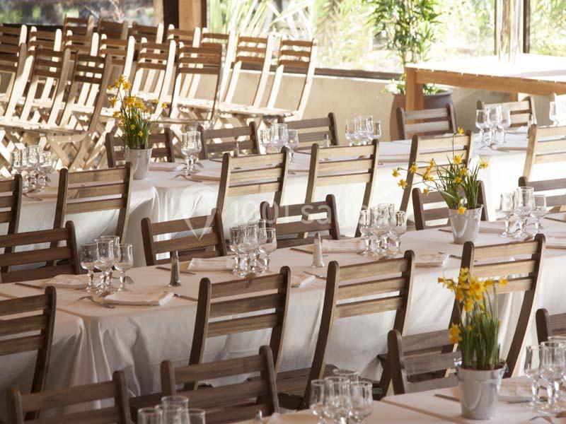 Location salle La Barben (Bouches-du-Rhône) - Le Lodge du Zoo de La Barben #5