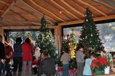 Location salle La Barben (Bouches-du-Rhône) - Le Lodge du Zoo de La Barben #12