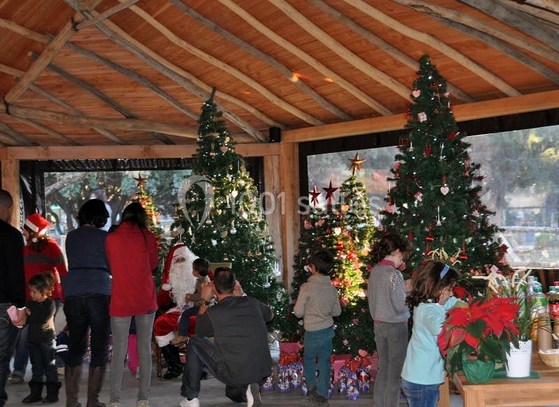 Location salle La Barben (Bouches-du-Rhône) - Le Lodge du Zoo de La Barben #12