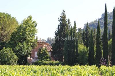 Location salle Vidauban (Var) - Domaine Régis Frères #24