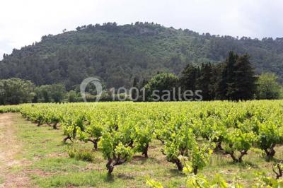 Domaine Régis Frères