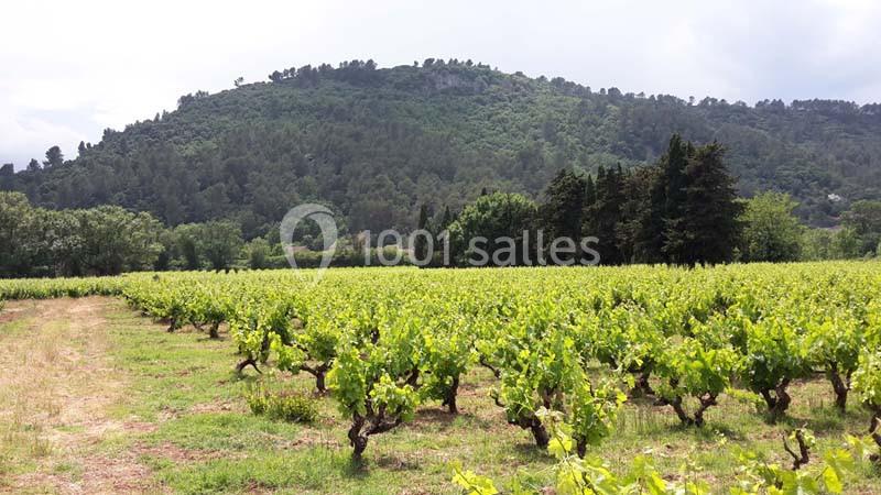 Location salle Vidauban (Var) - Domaine Régis Frères #1
