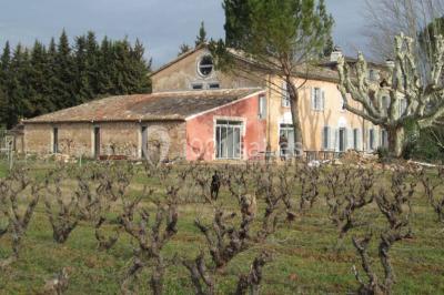 Location salle Vidauban (Var) - Domaine Régis Frères #24