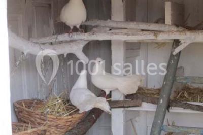 Location salle Vidauban (Var) - Domaine Régis Frères #24