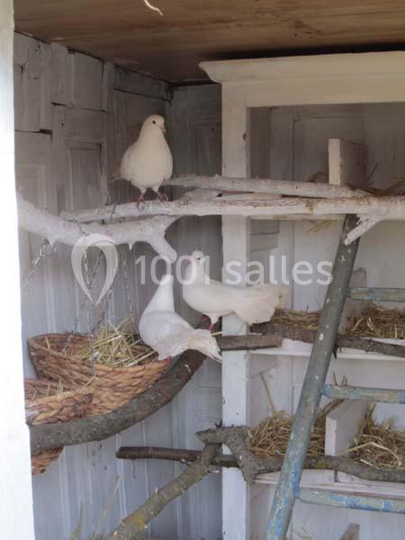 Location salle Vidauban (Var) - Domaine Régis Frères #23