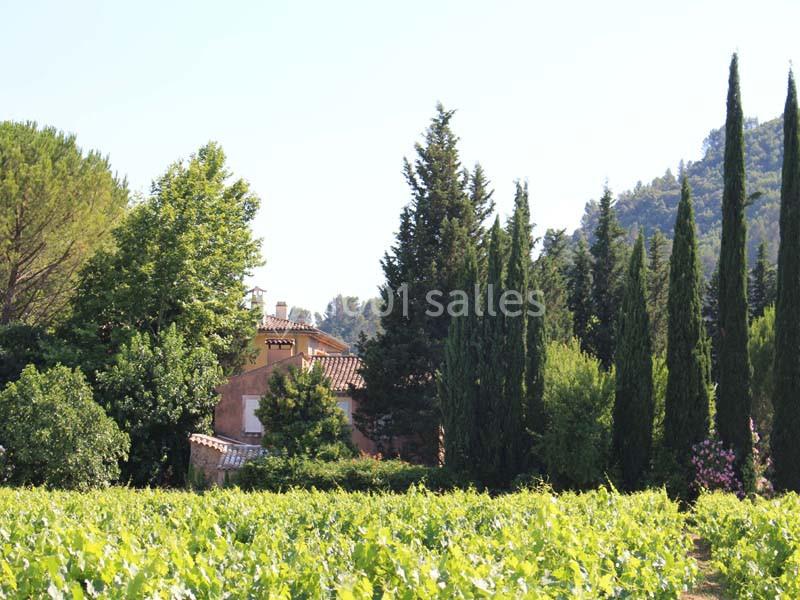 Location salle Vidauban (Var) - Domaine Régis Frères #2