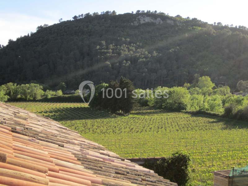 Location salle Vidauban (Var) - Domaine Régis Frères #5