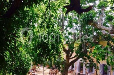 Miniature Location salle Vidauban (Var) - Domaine Régis Frères #6 Location salle Vidauban (Var) - Domaine Régis Frères #24