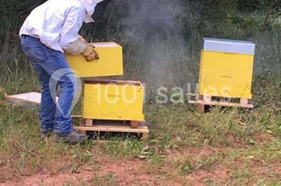 Miniature Location salle Vidauban (Var) - Domaine Régis Frères #22 Location salle Vidauban (Var) - Domaine Régis Frères #24