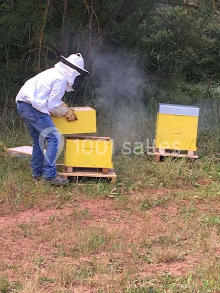 Location salle Vidauban (Var) - Domaine Régis Frères #22