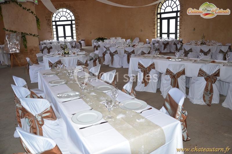 Location salle Lacaune (Tarn) - Château De Calmels #2