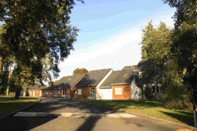 Maisons en rangée avec façades en bois, entourées d'arbres et d'espaces verts, sous un ciel dégagé.