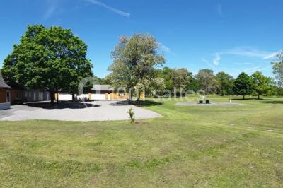 Maisons en rangée avec façades en bois, entourées d'arbres et d'espaces verts, sous un ciel dégagé.