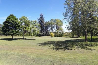 Maisons en rangée avec façades en bois, entourées d'arbres et d'espaces verts, sous un ciel dégagé.