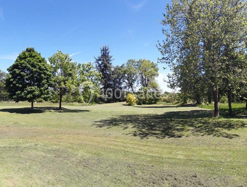 Pelouse verdoyante entourée d'arbres sous un ciel bleu dégagé.
