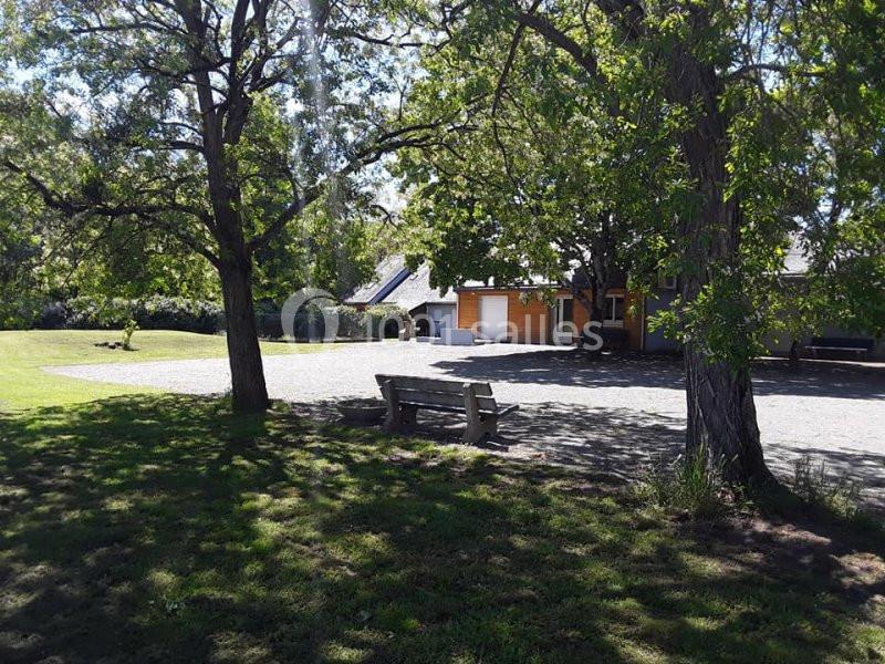 Banc en bois sous des arbres dans un espace ombragé, avec une maison en arrière-plan et une allée gravillonnée.