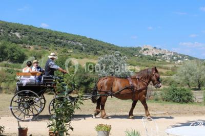 Location salle Simiane-la-Rotonde (Alpes-de-Haute-Provence) - Gite La Fontaine #24