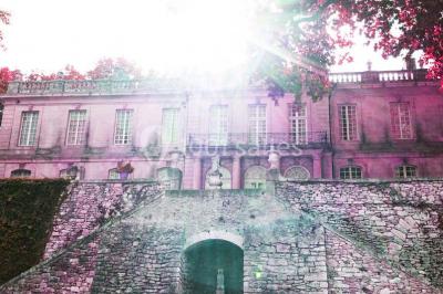 Location salle Mane (Alpes-de-Haute-Provence) - Château De Sauvan #16