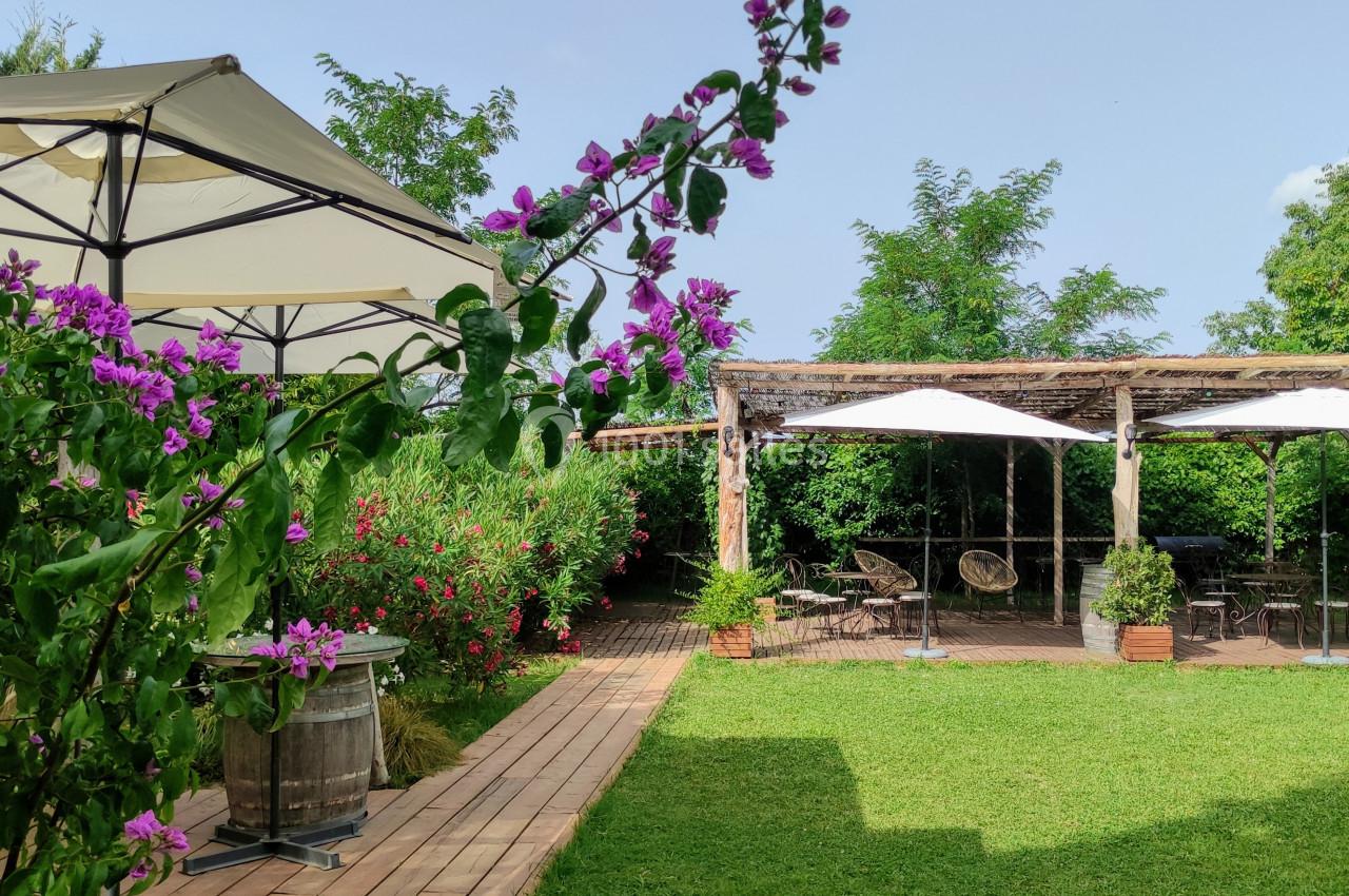 Terrasse extérieure avec pergolas, parasols blancs, végétation luxuriante et fleurs violettes au premier plan.