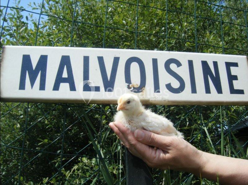 Location salle Crannes-en-Champagne (Sarthe) - Le Relais De Malvoisine #3