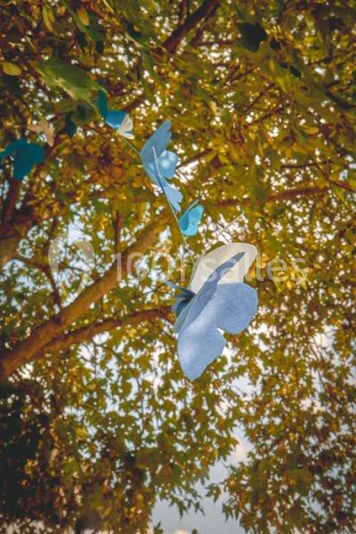 Location salle Crannes-en-Champagne (Sarthe) - Le Relais De Malvoisine #4