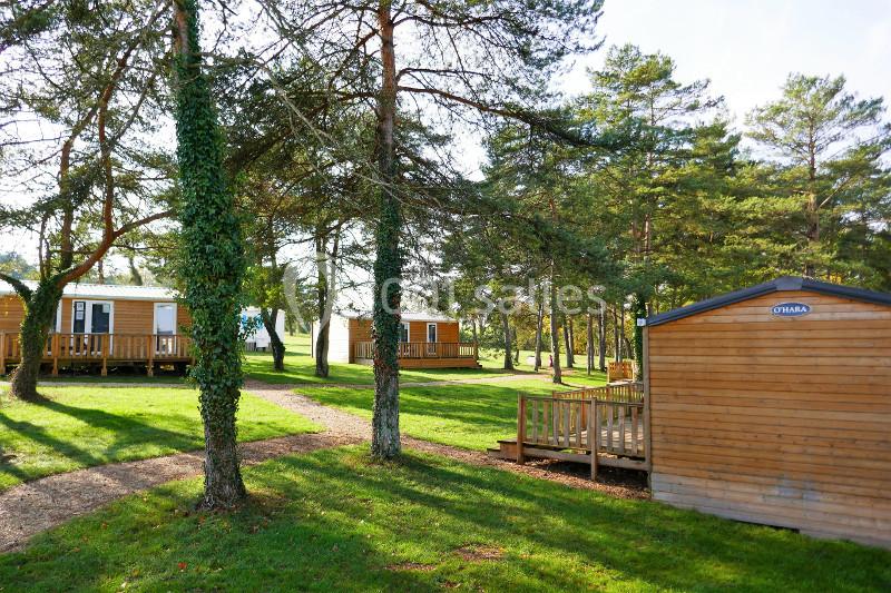 Location salle Bar-sur-Seine (Aube) - Domaine Du Bel Air #14