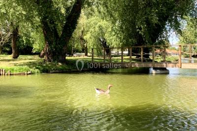 Location salle Roullet-Saint-Estèphe (Charente) - La Vieille Etable #10