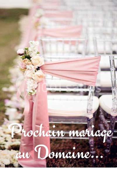 Chaises transparentes décorées de tissu rose et de fleurs, alignées pour une cérémonie en extérieur.