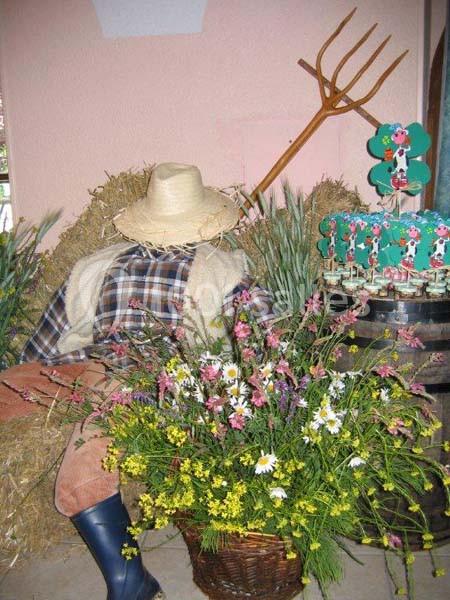 Location salle Saint-Bonnet-en-Champsaur (Hautes-Alpes) - Le Bel Air #12