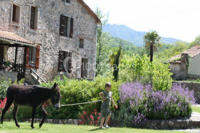 Location salle Le Tech (Pyrénées-Orientales) - Mas Manyaques #24