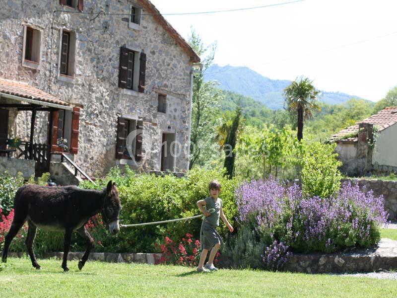 Location salle Le Tech (Pyrénées-Orientales) - Mas Manyaques #2