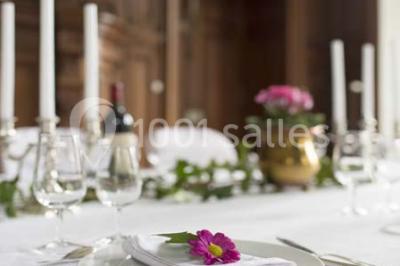 Location salle Tantonville (Meurthe-et-Moselle) - Château Ernest #23