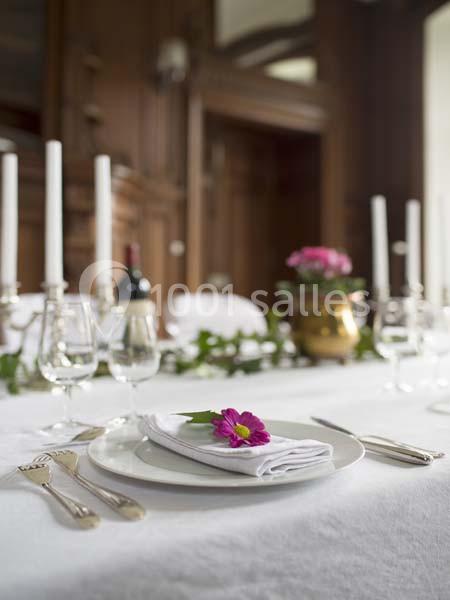 Location salle Tantonville (Meurthe-et-Moselle) - Château Ernest #11