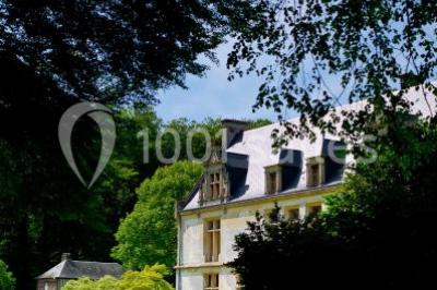 Pelouse verdoyante bordée d'arbres hauts sous un ciel bleu clair, avec une petite structure en briques à gauche.