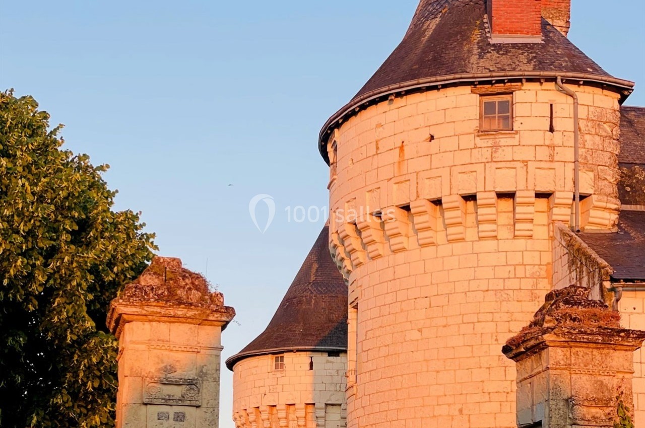 Tour en pierre d'un château éclairée par une lumière chaude au coucher du soleil, avec un arbre à gauche.