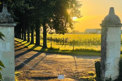 Chambre avec lit double, canapé, table basse et poutres apparentes, décorée de papier peint à motifs.